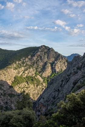 discovery of the island of beauty in southern Corsica, France discovery of the island of beauty in southern Corsica in May, France Copyright: xZoonar.com sebastienxhovaguimianx 17430853