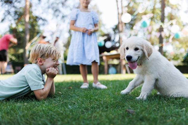 Children playing with a small puppy at family garden party. Portrait of little boy lying on grass looking at Golden retriever puppy. Children playing with a small puppy at a family garden party. Portrait of little boy lying on grass looking at Golden retriever puppy. model released