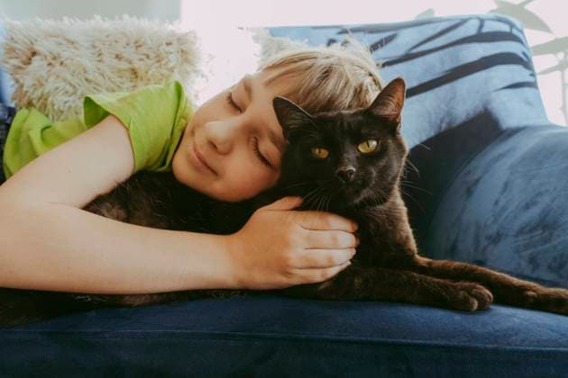 Creative Highlights Symbolbilder Smiling boy with eyes closed lying down with cat on sofa at home model released, Symbolfoto property released, OSF02384