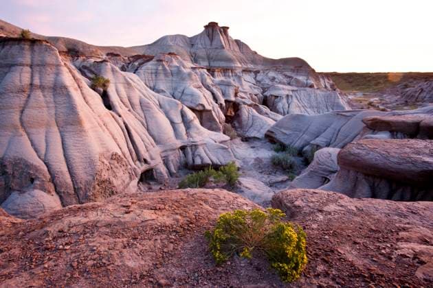 Badlands formations at Dinosaur Provincial Park (a Untied Nations World Heritage Site), Alberta, Canada  Copyright: x AllxCanadaxPhotosx 1990-37353
