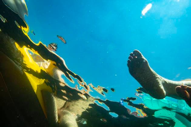 Creative Highlights Symbolbilder A foot soaking in a lake in Maine on a sunny day. Sebago, Maine, United States CR_JOKL240228-1247423-01 ,model released, Symbolfoto