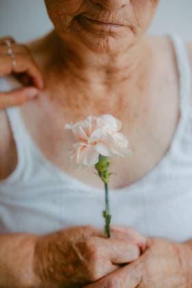 Creative Highlights Symbolbilder MR_ID19652_16396_MariaTeresaViNasFrancisco.jpg A poignant close-up of an elderly woman s hands holding a white flower, symbolizing fragility and the passage of time Model Released EmmaOvin_ID19652_582694_003 Copyright: xEmmaxOvinx RECORD DATE NOT STATED
