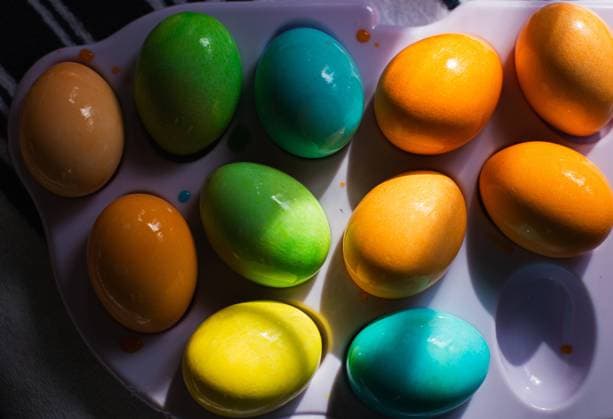 Brightly colored eggs on tray in sunlight Seattle, Washington, United States R_AAGC240229-1360001-01