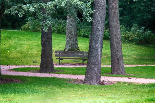 Park, alder, lawn, park paths and old park bench Park, alder, Park paths and old Park bench. Nostalgia for the past Copyright: xZoonar.com MaximilianxBuzunx 12449937