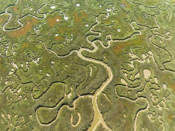 Netz von Kanälen und Bächen bei Ebbe. Im Sumpfgebiet des Flusses Piedras. Luftaufnahme. Drohnenaufnahme. Provinz Huelva, Andalusien, Spanien, Europa *** Network from Channels and Brooks at Low tide at Swamp area of River Piedras Aerial view Drohnenaufnahme Province Huelva, Andalusia, Spain, Europe Copyright: imageBROKER/ThomasxDressler ibxtdr10276829.jpg 