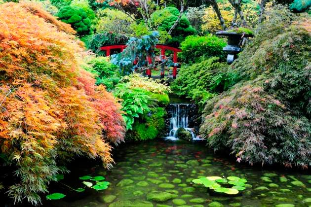 The Japanese Garden at Butchart Gardens in Victoria, BC., Canada  Copyright: x xAllxCanadaxPhotosx 1990-73736