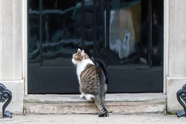 News Themen der Woche KW10 News Bilder des Tages . 06 03 2024. London, United Kingdom. Cabinet Meeting Downing Street. Ministers attend Cabinet Meeting, Downing Street.  xMartynxWheatleyx xi-Imagesx IIM-25039-0086