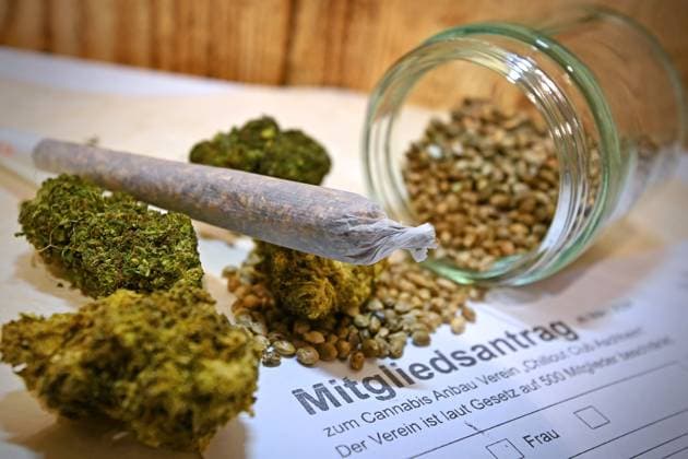 Themenbild Cannabis Legalisierung.Cannabis Anbau. Joint ,Blueten einer Hanfpflanze und Hanfsamen liegen auf einem Mitgliedsantrag vom Cannabis Anbau Verein Chillout Club Aschheim. CANNABIS, Marihuana. THC, *** Themed picture cannabis legalization cannabis cultivation joint ,Flowers of a hemp plant and hemp seeds are on a membership application from the cannabis cultivation club Chillout Club Aschheim CANNABIS, marijuana THC,