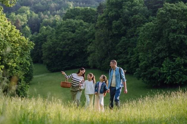 Family on walk in forest, going through meadow. Picking mushrooms, herbs, flowers picking in basket, foraging. Concept of family ecological hobby in nature. Family on walk in forest, going through meadow. Picking mushrooms, herbs and flowers picking in basket, foraging. Concept of family ecological hobby in nature. model released