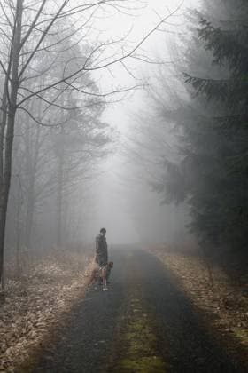 Creative Highlights Symbolbilder Man in distance walking a dog in gloomy foggy forrest in winter Pilsen, Plze? Region, Czechia CR_ZPME240311-1365413-01 ,model released, Symbolfoto