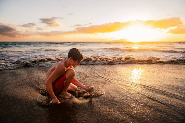 Creative Highlights Symbolbilder Child playing at sunset on Maui shore Kihei, Hawaii, United States CR_BQMG240311-1364081-01 ,model released, Symbolfoto