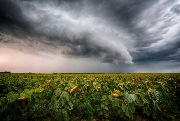 Creative Highlights World Storm Manitoba Canada  Copyright: xShannonxBileski xSignaturexExposuresx 1990-17867013