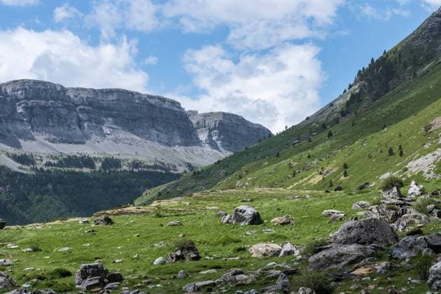 Alpine meadows dotted with rocks stretch towards the limestone cliffs of Valle de Ordesa, under the expansive blue sky of Ordesa y Monte Perdido National Park Model Released JuanLopez_ID19920_590349_008 Copyright: xJuanxLopezx