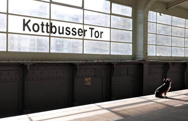 08.03.2024, Berlin - Deutschland. Ein Hund wartet am U-Bahnhof Kottbusser Tor. Worauf, ist unklar. *** 08 03 2024, Berlin Germany A dog waits at Kottbusser Tor underground station It is unclear what for