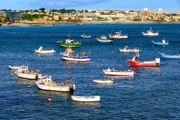 Bunte Ansicht von kleinen Fischerbooten an einem sonnigen Tag in der Bucht von Cascais, Portugal, ruhige und luxuriöse Stadt am Meer in der Nähe von Lissabon mit Stränden und kleinem Hafen. Klarer blauer Himmel, Wolken, Sonnenschein, ruhiges Meerwasser, Häuser an der Küste, Europa *** Bunte View from small Fishing boats to a sunny Day in the Bay from Cascais, Portugal, quiet and luxurious City on Sea in the Proximity from Lisbon with Beaches and small Port Clearer Blue Heaven, Clouds, Sunshine, quiet Sea water, Houses to the Coast, Europe Copyright: imageBROKER NatalliaxPershaj ibxnpe10331771.jpg