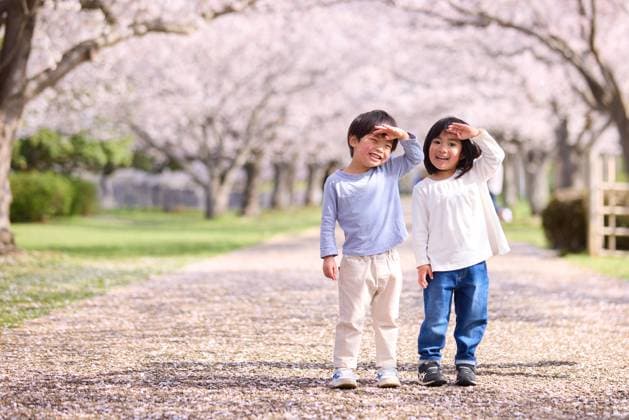 Two children standing in front of a tree with cherry blossoms AFLO235682801  , 235682801.jpg, ,model released, Symbolfoto