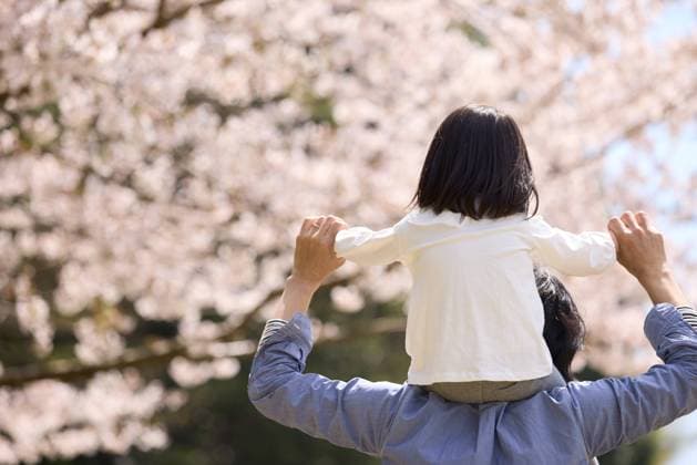 Father and daughter in cherry blossom AFLO235682972  , 235682972.jpg, ,model released, Symbolfoto