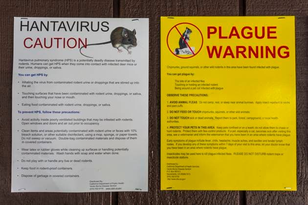 Warnings in Yosemite National Park about the dangers of rodents carrying plague Warnings in Yosemite National Park about the dangers of rodents carrying plague and hantavirus, California, USA, Credit:Lee H Rentz Avalon 0534416715