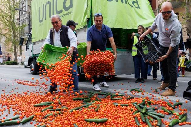 Bilder des Jahres 2024, News 03 März News Themen der Woche KW12 News Bilder des Tages Tractorade Called By Agricultural Organizations - Granada Farmers throw tomatoes during the tractorada in the center of Granada. On March 22, 2024, in Granada (Andalusia, Spain). Hundreds of farmers convened by the agricultural organizations Asaja, COAG, UPA and Cooperativas Agro-alimentarias, have started a tractorada to demand measures for the viability of agricultural and livestock farms. Photo by Alex Camara Europa Press ABACAPRESS.COM GRANADA (Andalusia, Spain) Spain  Copyright: xEuropaxPress ABACAx