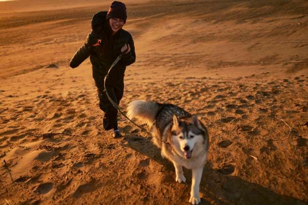Creative Highlights Symbolbilder Cheerful woman running with dog on sand at sunset model released, Symbolfoto property released, ANNF00846