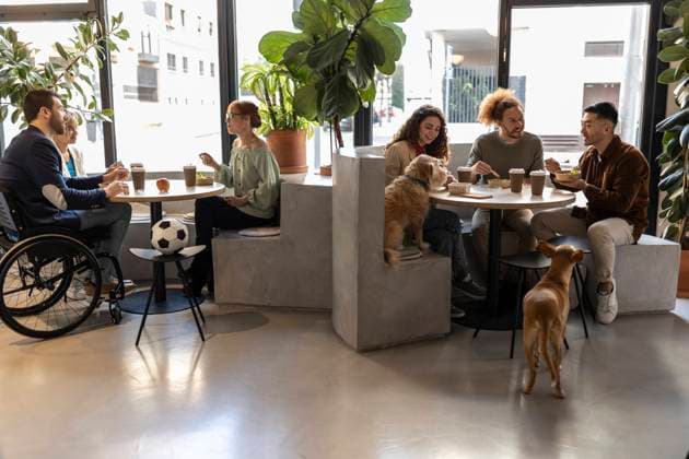 Business colleagues on lunch break with dogs at office model released, Symbolfoto property released, JCCMF11310