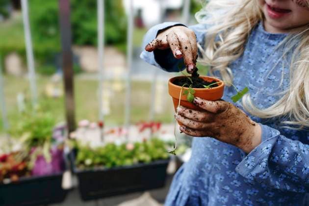 Girl putting dirt and fertilizer in pot at balcony model released, Symbolfoto property released, NSTF00010
