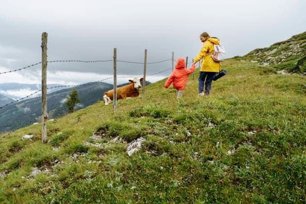 Mother and daughter walking by fence and cow on mountain model released, Symbolfoto, NSTF00035