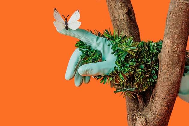 Creative Highlights Symbolbilder Butterfly sitting on hand of woman near tree trunk against orange background model released, Symbolfoto, RDTF00035