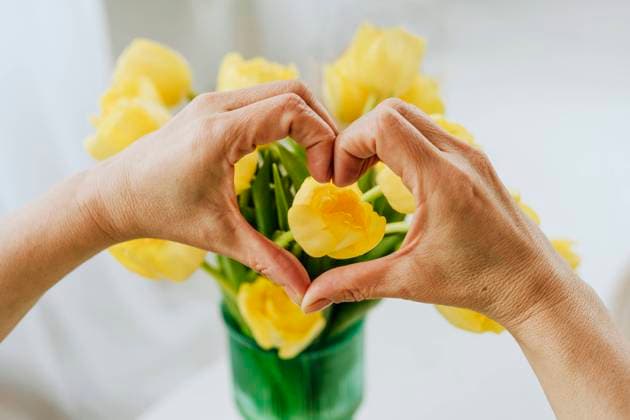 Creative Highlights Symbolbilder Hands of mature woman making heart over tulips at home model released, Symbolfoto property released, YTF01947