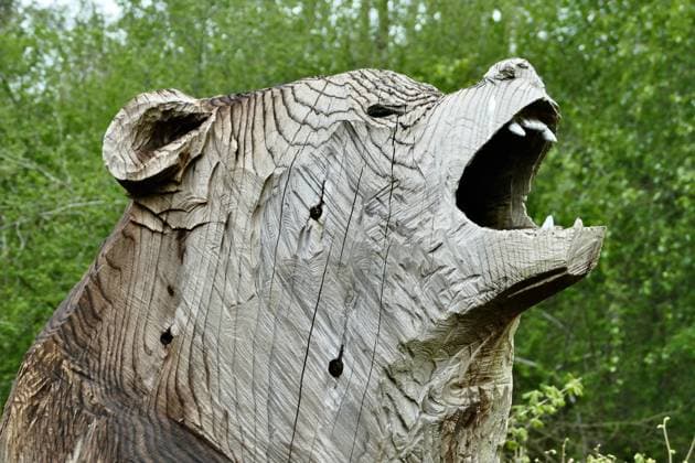 South Downs National Park new signage A bear sculpture in the South Downs. Bespoke new signs have been installed that reflect the unique heritage of the South Downs and create a sense of arrival are being installed at 19 pilot sites at specially chosen locations at, or near, the National Park s borders across Sussex and Hampshire., Credit:Geoffrey Swaine Avalon UK, Hampshire, South Downs  Copyright: xGeoffreyxSwainex xAvalonx 0687690648