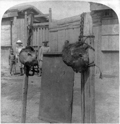 CHINA: PRISONERS, c1901. The heads of beheaded war prisoners tied by queues to stakes, on the street near the West Gate at Tientsin, China. Stereograph, c1901.  Copyright: xGRANGERx xGRANGERx 0116335