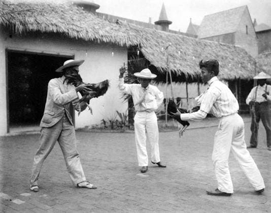 COCKFIGHT, 1893. Two cock-fighters and a referee at the World s Columbian Exposition, 1893. Photograph by Frances Benjamin Johnston.  Copyright: xGRANGERx xGRANGERx 0123248