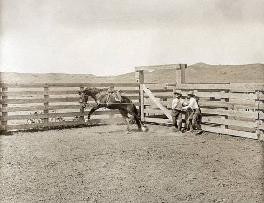 TEXAS: COWBOYS, c1907. Two cowboys breaking a horse in a corral on the LS Ranch in Texas. Photograph by Erwin Evans Smith, c1907.  Copyright: xGRANGERx xGRANGERx 0124926