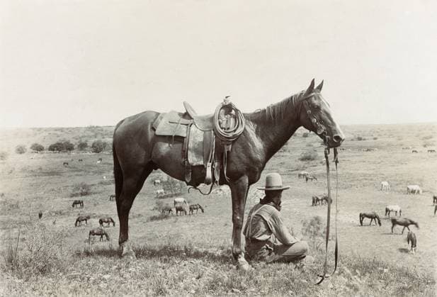 TEXAS: COWBOY, c1910. A horse wrangler seated next to his horse on a hill and looking down at other horses grazing in a field in Texas. Photograph by Erwin Evans Smith, c1910.  Copyright: xGRANGERx xGRANGERx 0124956