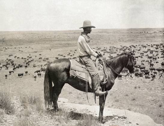 TEXAS: COWBOY, c1908. A cowboy on horseback standing a knoll while looking down at a herd of cattle at the LS Ranch in Texas. Photograph by Erwin Evans Smith, c1908.  Copyright: xGRANGERx xGRANGERx 0124963