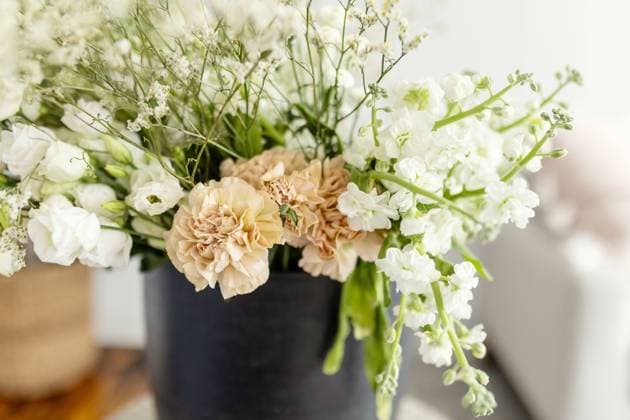 IMAGO Creative, Frühling, Licht und Sonne White, green and pink floral arrangement in black pot Hartford, Connecticut, United States R_ASOG240322FD-1367640-01