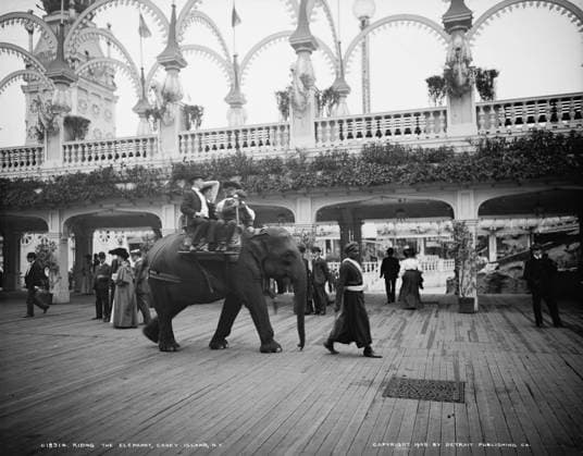 CONEY ISLAND: ELEPHANT RIDE. Elephant ride on the boardwalk at Coney Island, Brooklyn, New York. Photograph, c1905.  Copyright: xGRANGERx xGRANGERx 0408166