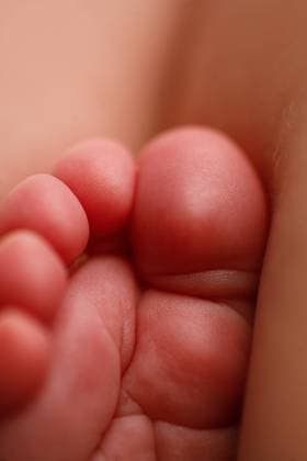 Creative Highlights Symbolbilder Tiny, plump baby toes in a soft-focused close-up Atlanta, Georgia, United States CR_RCYA240326-1376621-01