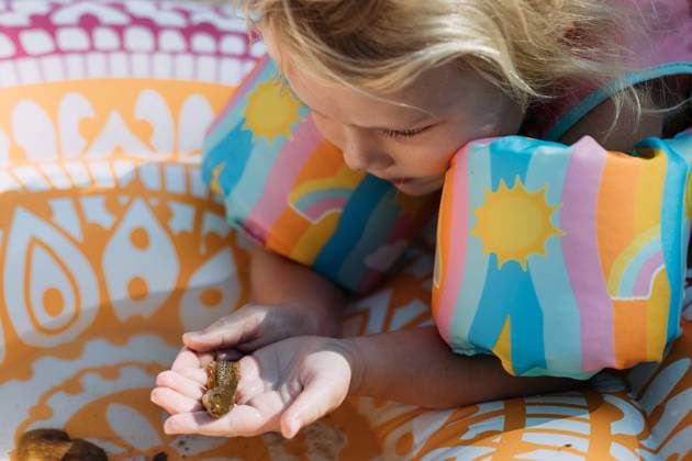 Creative Highlights Symbolbilder Young child holding tadpole at creek Millersville, Missouri, United States CR_WEKW240325C-1377603-01 ,model released, Symbolfoto