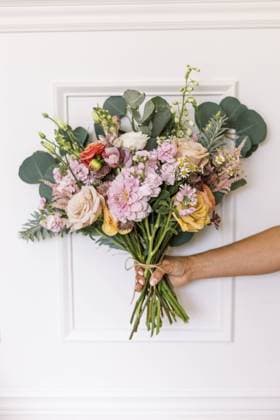 Creative Highlights Symbolbilder Vibrant bridal bouquet against a white frame backdrop Calgary, Alberta, Canada R_CUYS240326D8-1379032-01