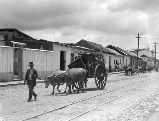 LATIN AMERICA, c1920. Men and cattle on a street in a rural town in Cuba or Guatemala. Photograph by Arnold Genthe, c1920.  Copyright: xGRANGERx xGRANGERx 0528337