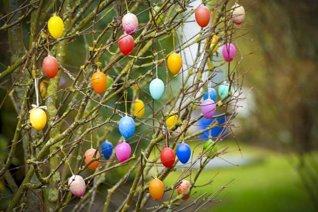 Bunte Ostereier an einem Strauch in Scharbeutz, Schleswig-Holstein, Deutschland *** Colorful Easter eggs on a bush in Scharbeutz, Schleswig Holstein, Germany ** NUR FUER REDAKTIONELLE ZWECKE ** EDITORIAL USE ONLY **