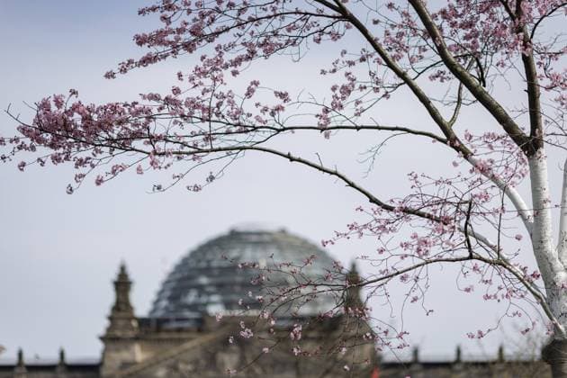 IMAGO Creative, Lifestyle, Frühling in der Stadt Eine Japanische Bluetenkirsche blueht vor dem Deutschen Bundestag in Berlin, 27.03.2024. Zu Ostern werden laut Wettervorhersagen mit Hoechstwerten um 22 Grad gerechnet. Berlin Deutschland *** A Japanese flowering cherry blossoms in front of the German Bundestag in Berlin, 27 03 2024 According to weather forecasts, highs of around 22 degrees are expected at Easter Berlin Germany Copyright: xKiraxHofmannxphotothek.dex