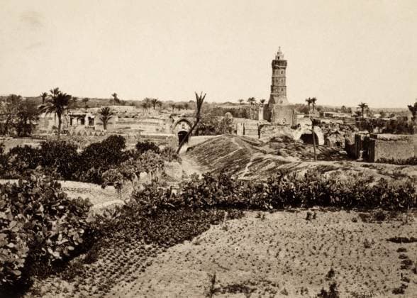 HOLY LAND: GAZA, c1860. View of the old town of Gaza, with gardens and the tower of a mosque. Photograph by Francis Frith, c1860.  Copyright: xGRANGERx xGRANGERx 0634122