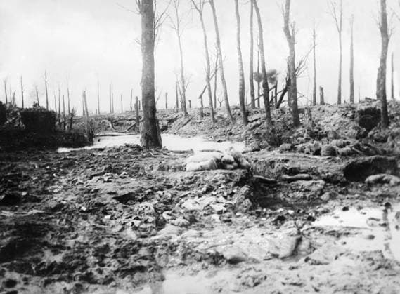 WWI: BATTLE OF MESSINES. Ordnance explodes amidst barren trees on Messines Ridge in Flanders during the Battle of Messines. Photograph, June 1917.  Copyright: xGRANGERx xGRANGERx 0644678