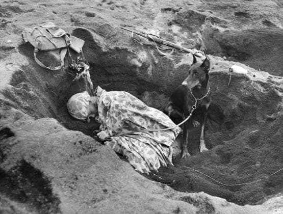 WWII: IWO JIMA, 1945. United States Marine Private Rez Hester sleeping in a foxhole with his Doberman Pinscher partner, Butch, during the Battle of Iwo Jima. Photograph by Karl Thayer Soule, 1945.  Copyright: xGRANGERx xGRANGERx 0651511