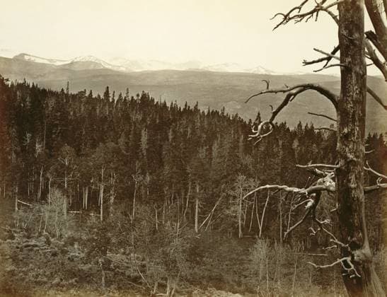 WYOMING: LANDSCAPE, 1869. View of the snowcapped mountains and evergreens used for timber in the Laramie Mountains, Wyoming. Photograph by Andrew Joseph Russell, 1869.  Copyright: xGRANGERx xGRANGERx 0652882