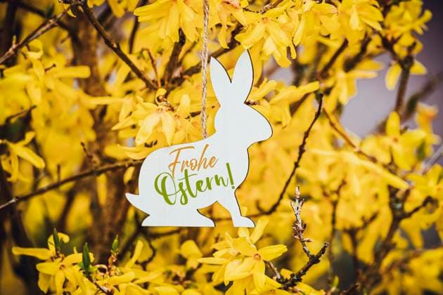 FOTOMONTAGE, Osterhasen-AnhÃ¤nger mit Aufschrift Frohe Ostern an einem Forsythien-Strauch *** FOTOMONTAGE, Easter bunny pendant with the inscription Happy Easter on a forsythia bush ** NUR FUER REDAKTIONELLE ZWECKE ** EDITORIAL USE ONLY **