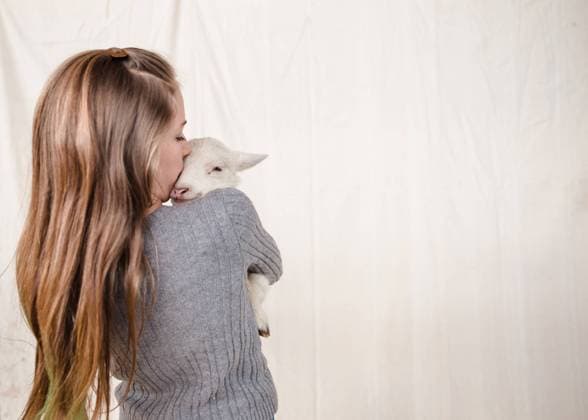 Creative Highlights Symbolbilder Tween girl holding a white lamb. Clearwater, Minnesota, United States R_RDOL240331-1382456-01 ,model released, Symbolfoto
