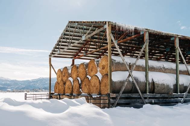 Montana winter farm with stacked hay rolls in the snow United States, Montana, Missoula R_VBED240331-1383224-01